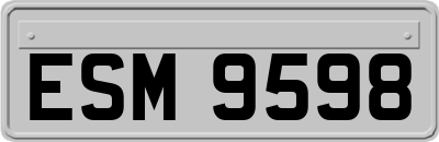 ESM9598