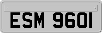 ESM9601