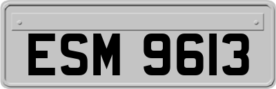 ESM9613