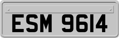 ESM9614