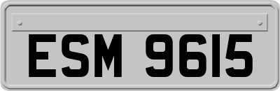 ESM9615