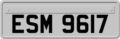 ESM9617