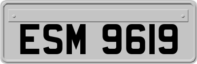 ESM9619