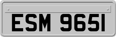 ESM9651