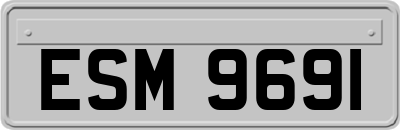 ESM9691