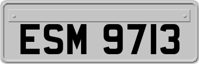 ESM9713