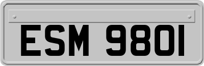 ESM9801