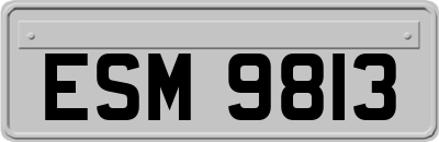 ESM9813