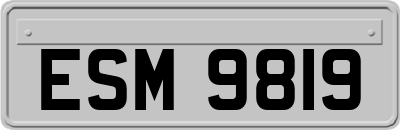 ESM9819