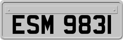 ESM9831