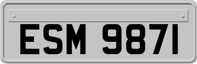 ESM9871