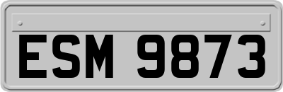 ESM9873