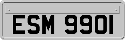 ESM9901