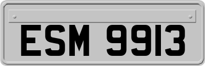 ESM9913