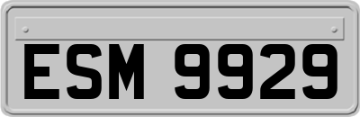 ESM9929