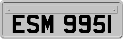 ESM9951
