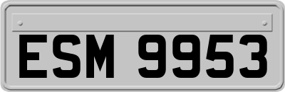 ESM9953