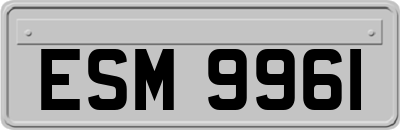 ESM9961