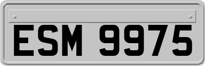 ESM9975