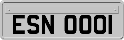 ESN0001