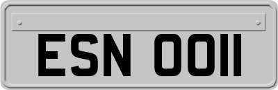 ESN0011