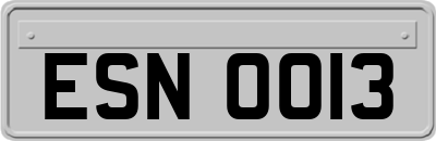 ESN0013