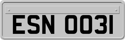 ESN0031