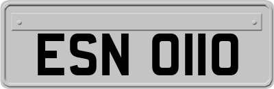 ESN0110