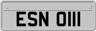ESN0111