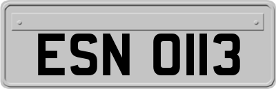 ESN0113