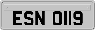ESN0119