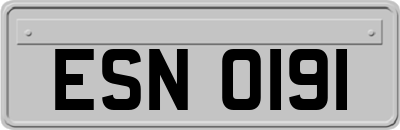 ESN0191