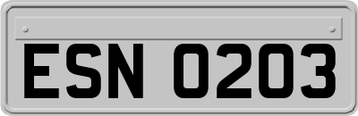 ESN0203