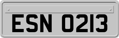 ESN0213