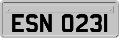 ESN0231
