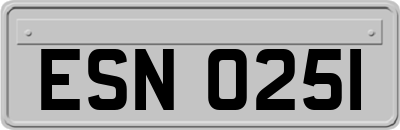 ESN0251
