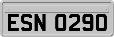 ESN0290