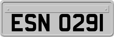 ESN0291