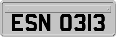 ESN0313