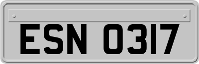 ESN0317