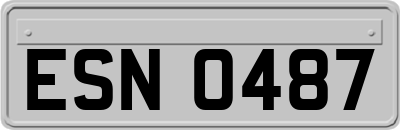 ESN0487