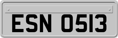 ESN0513