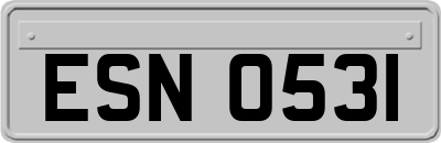 ESN0531