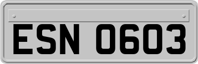 ESN0603