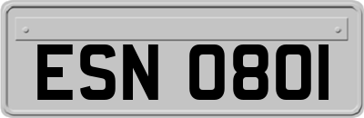 ESN0801