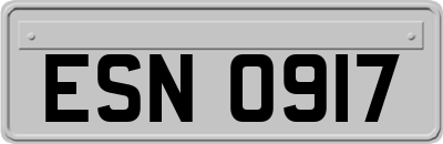 ESN0917