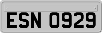 ESN0929