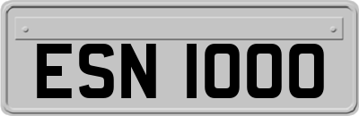 ESN1000