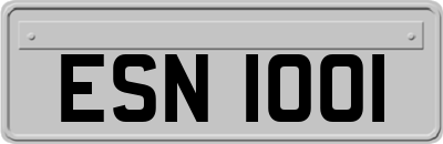ESN1001
