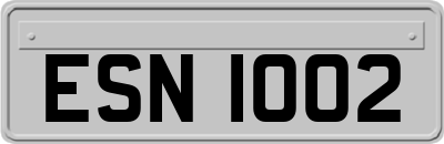 ESN1002